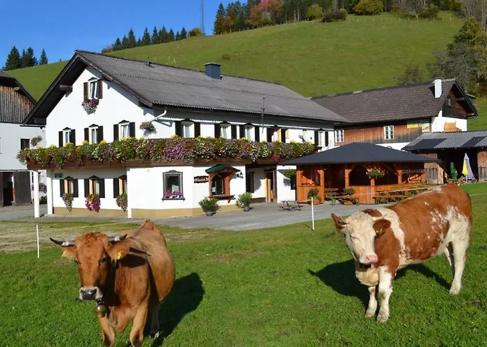 Bio Bauernhof Moas Farm stay Lunz am See